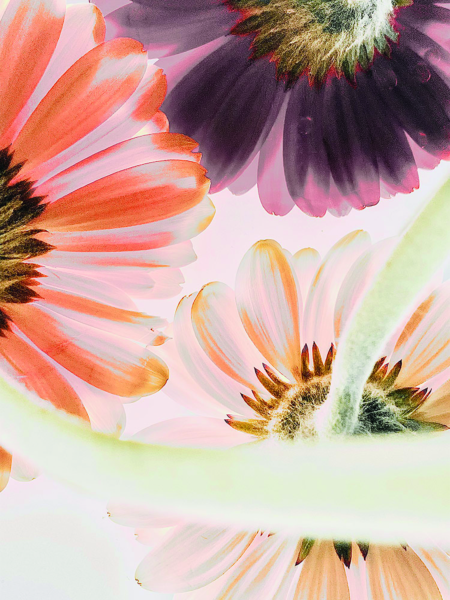 Composition florale en pastel — Sophie Le Gendre