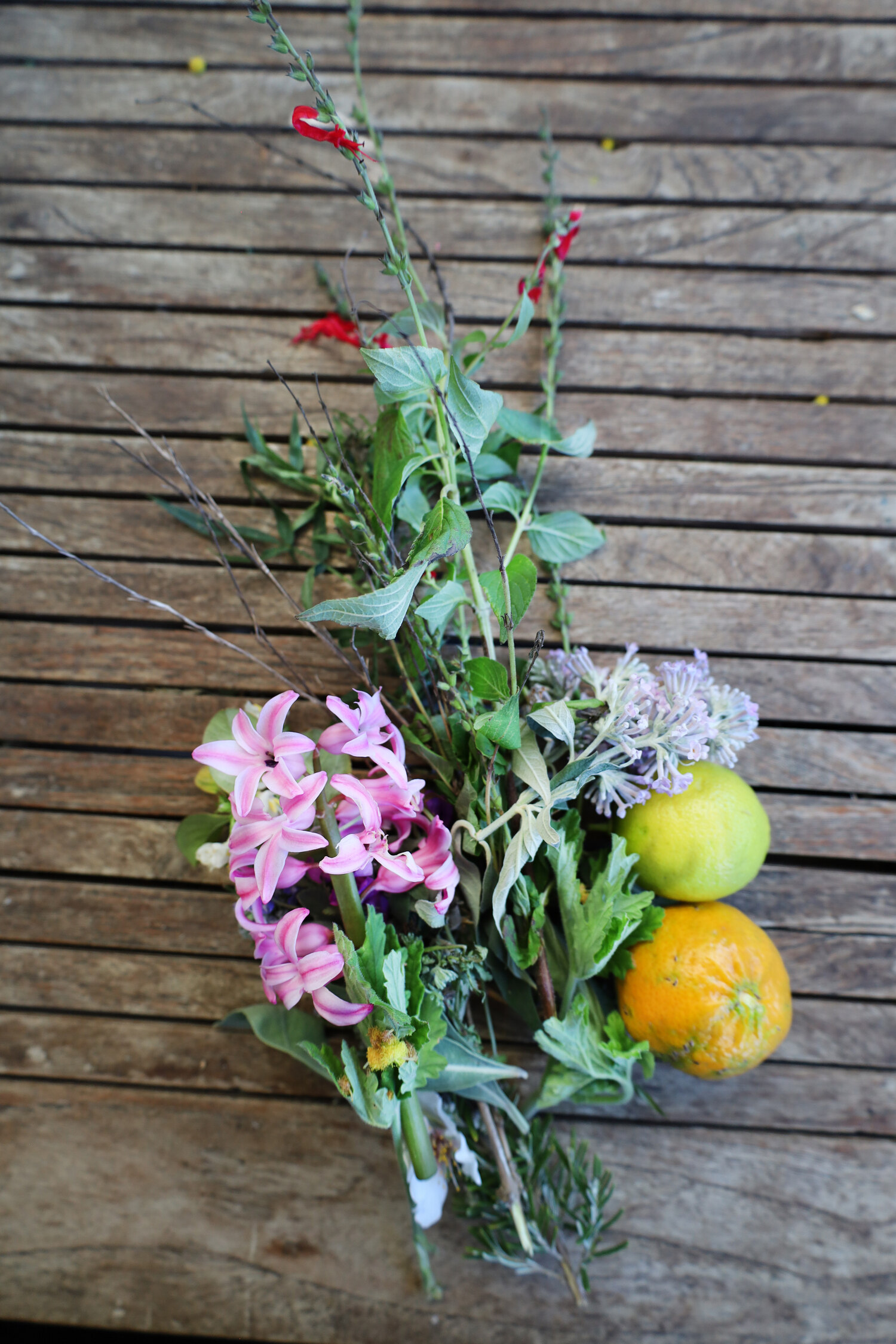 Nature morte de matières premières du jardin : agrumes, jacinthe rose, herbes aromatiques sur une table en bois