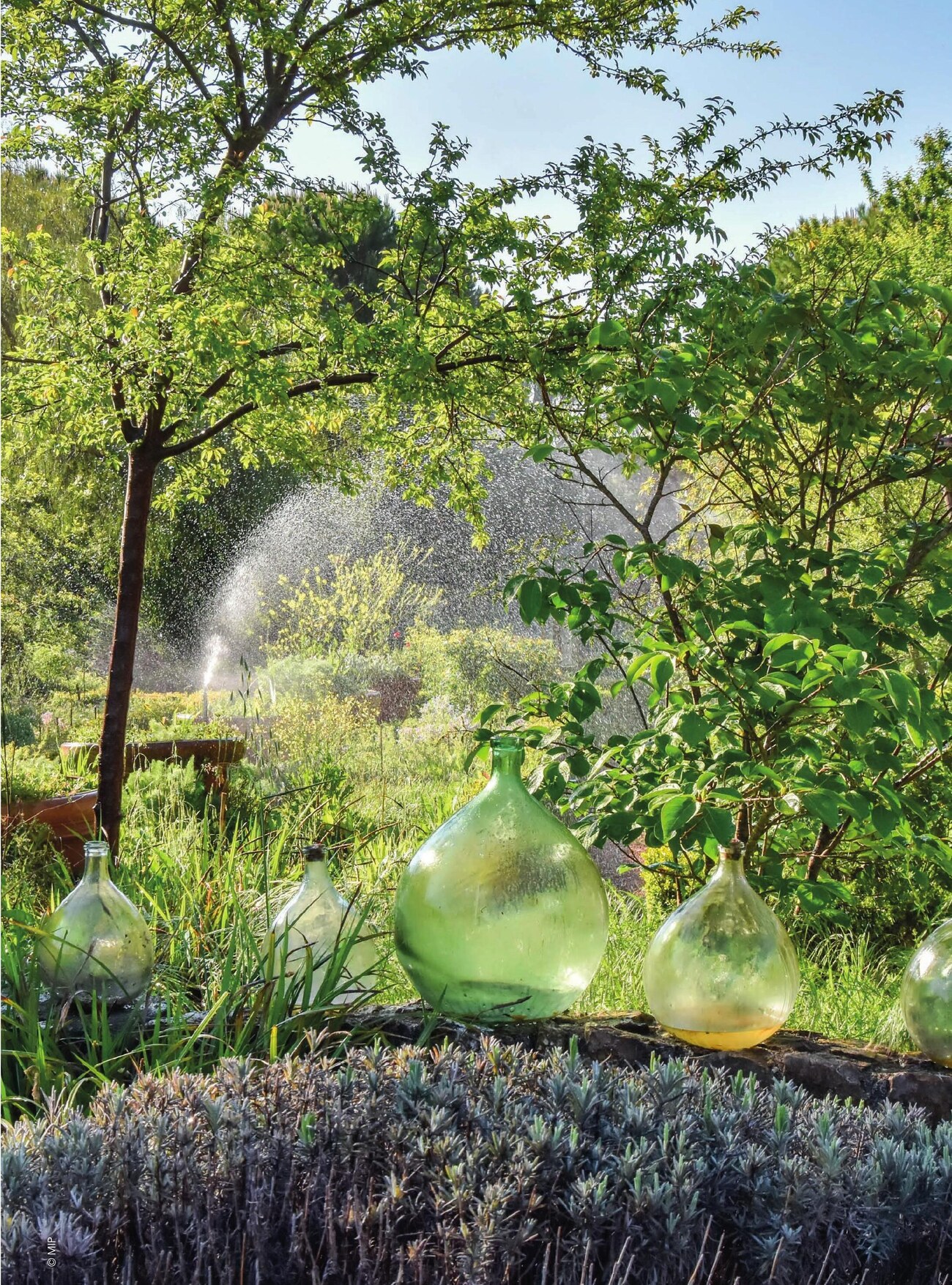 Les jardins du Musée International de la Parfumerie à Mouans-Sartoux