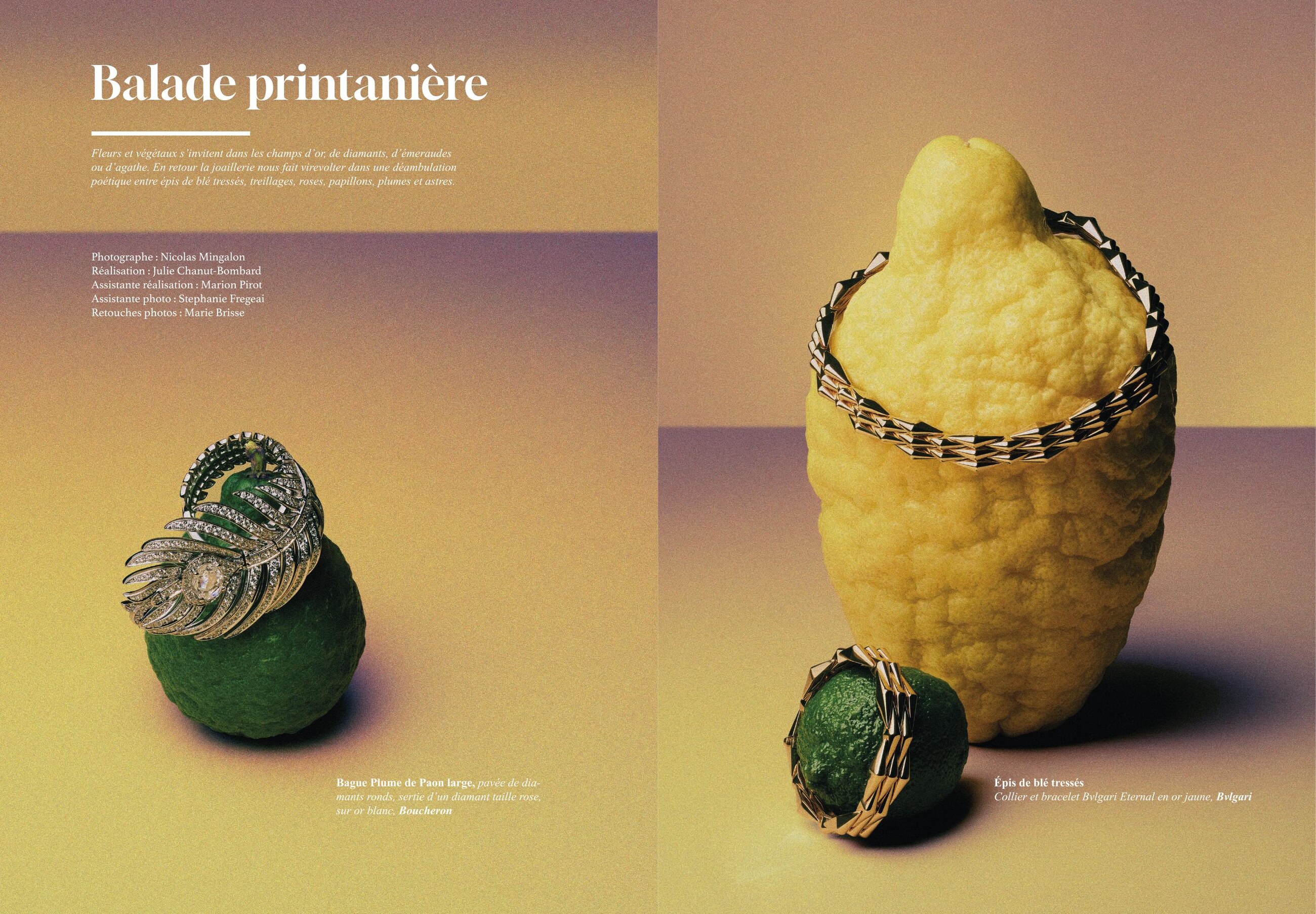Balade printanière : bague Plume de Paon (Boucheron) et collier Eternal épis de blé (Bvlgari) sur agrumes — photo Nicolas Mingalon